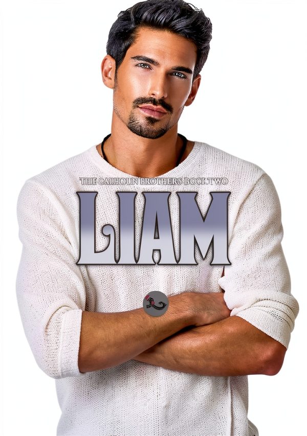 The Calhoun Brothers: Book 2 by Turtlehat Creatives LLC - LGBTQ+-0
